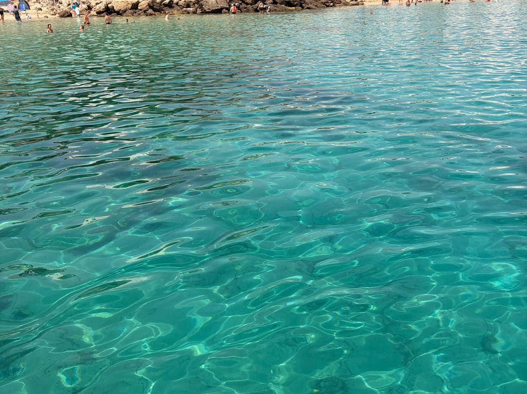 Platja s'Arenal d'en Castell-Mercadal必去景点
