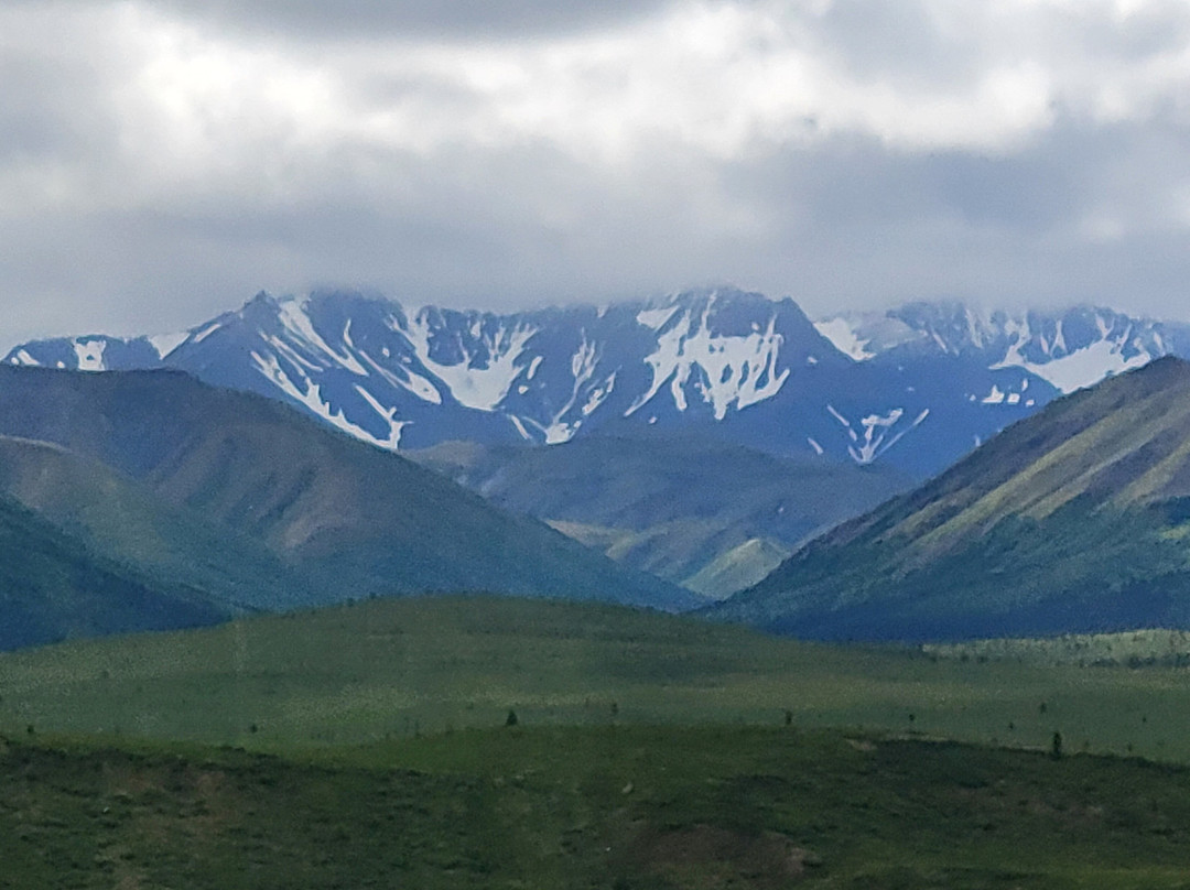 Denali Natural History Tour-德纳利国家公园和自然保护区必去景点