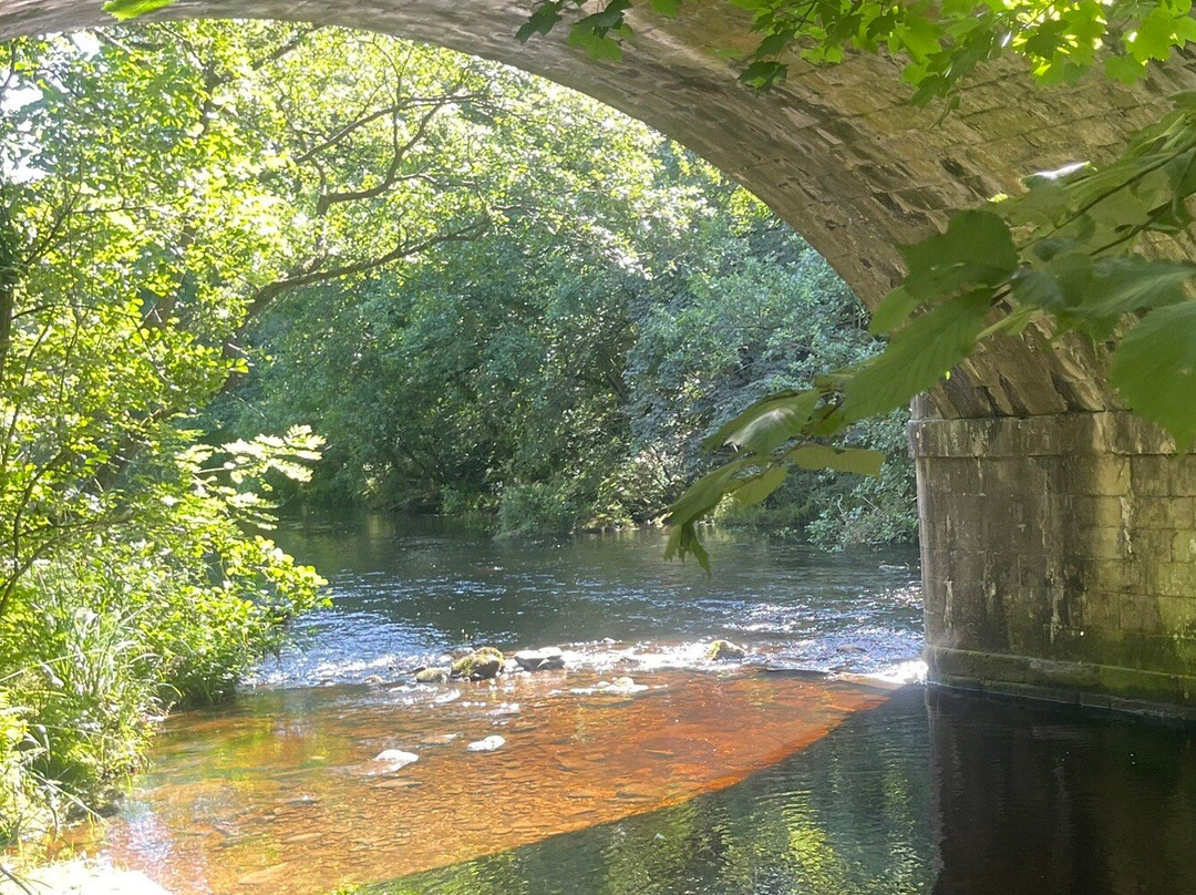 莱迪鲍尔水库-Bamford必去景点