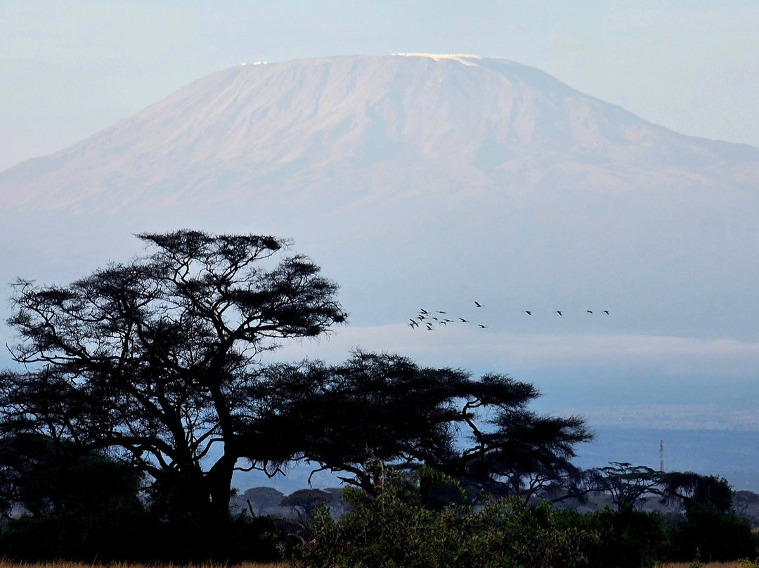 Amboseli National Park-Amboseli Eco-system必去景点