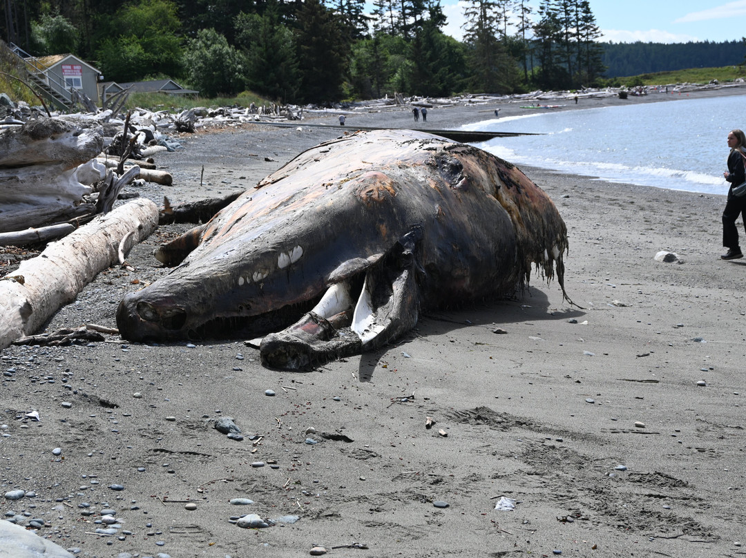 Deception Pass State Park-Oak Harbor必去景点