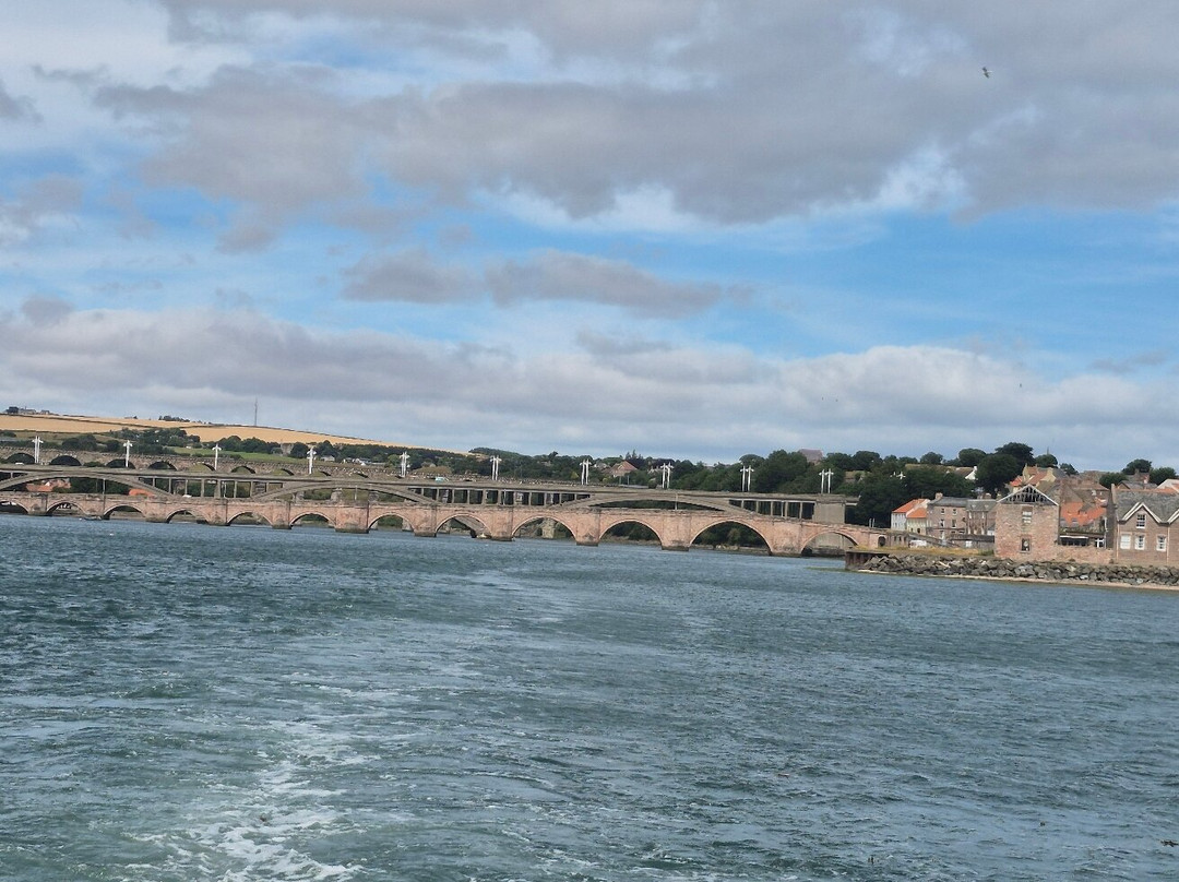 Berwick Boat Trips-特威德河畔贝里克必去景点