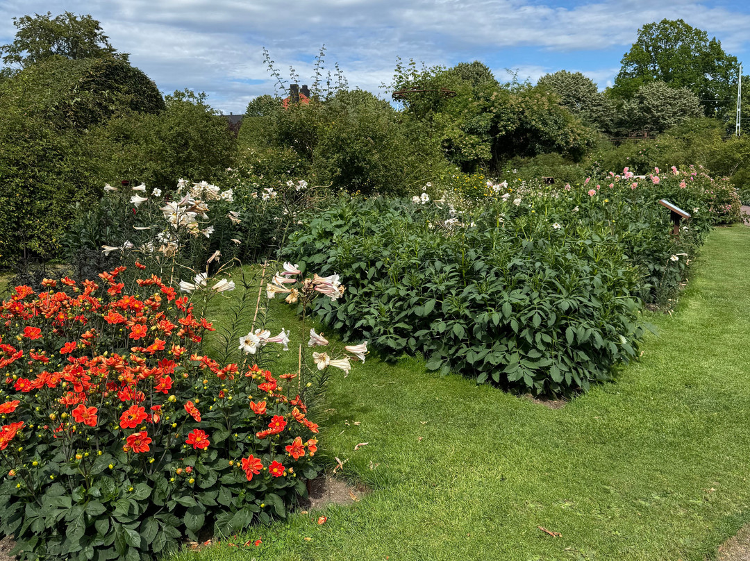 Rosenlunds Rosarium-延雪平必去景点