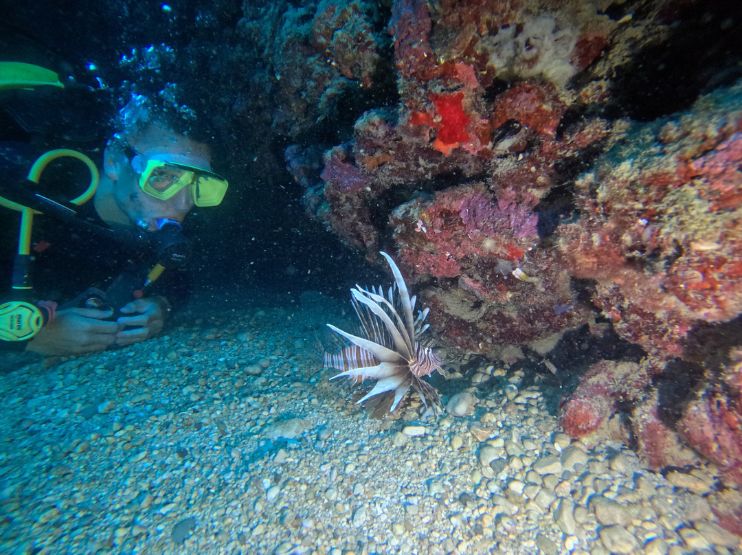 Octopus Diving Center-凯梅尔必去景点