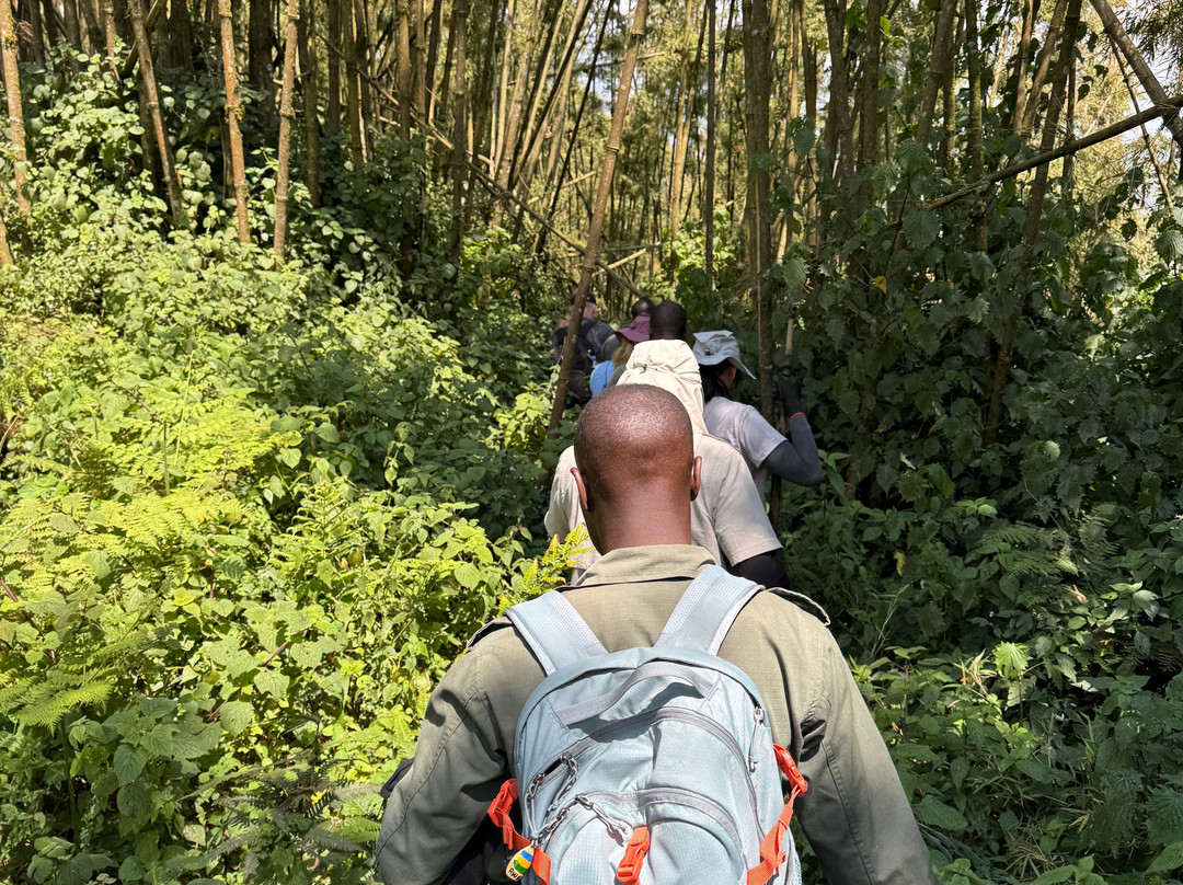 Rwanda Gorilla Trek - Day Tours-Huye必去景点
