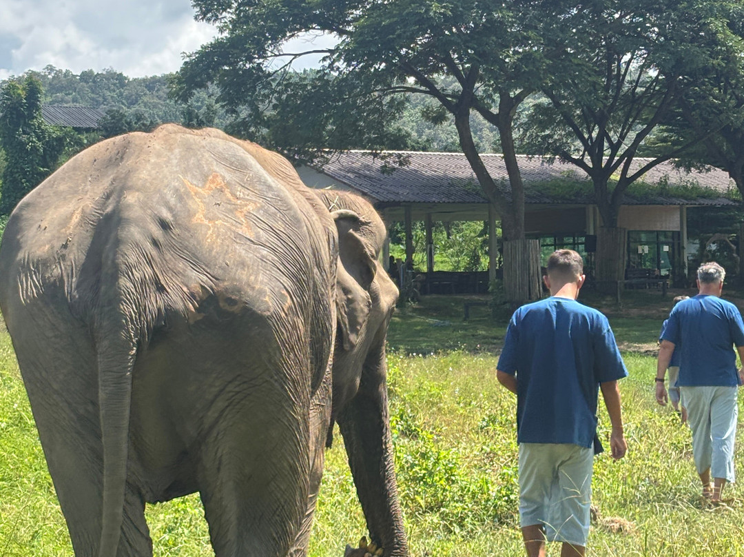 Lanna Kingdom Elephant Sanctuary-清迈必去景点