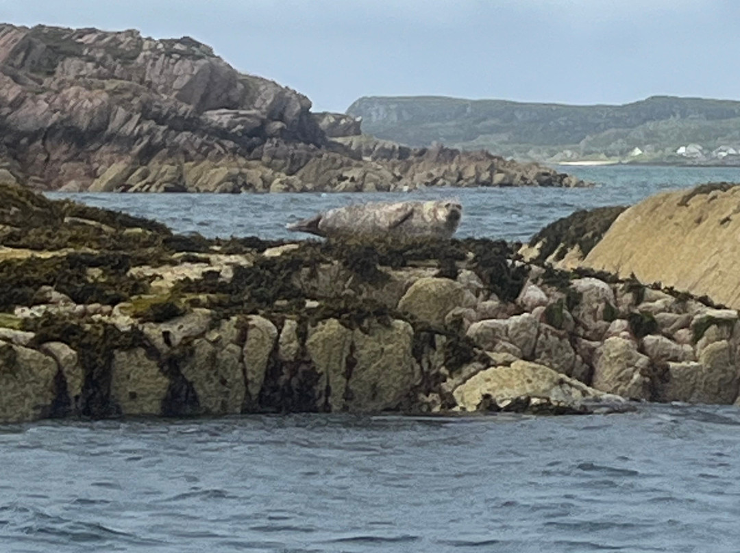 Staffa Trips-Isle of Iona必去景点