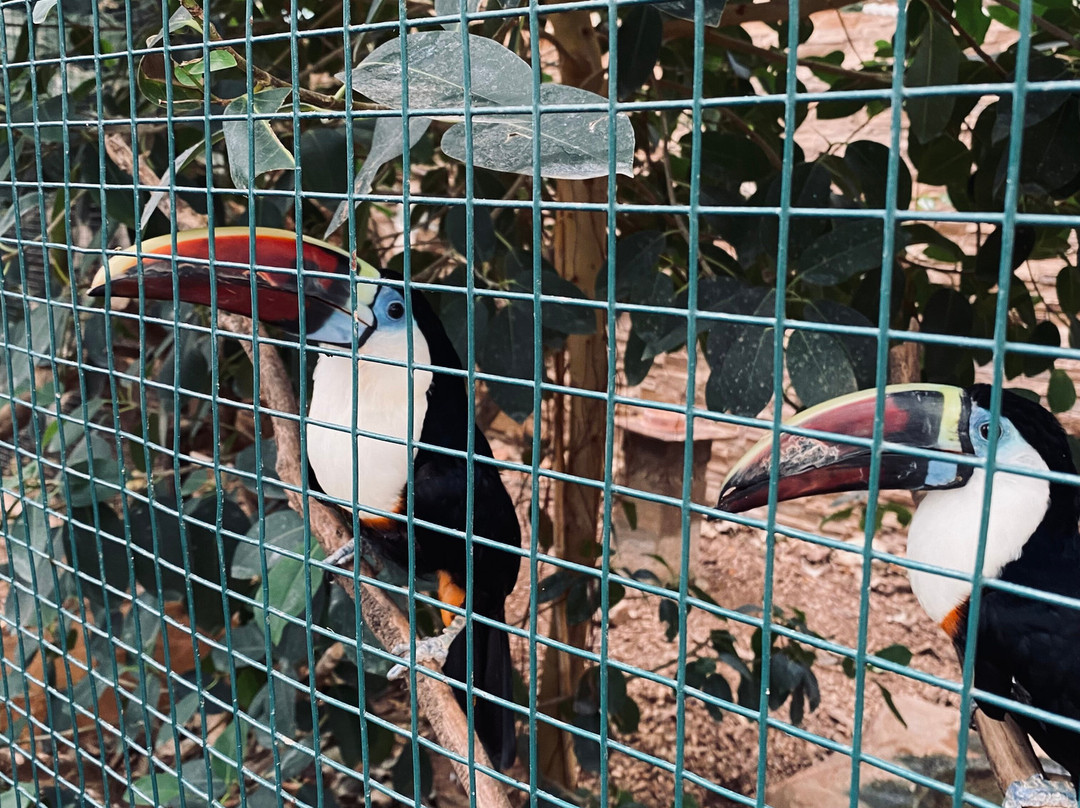 Attica Zoological Park-斯巴达必去景点