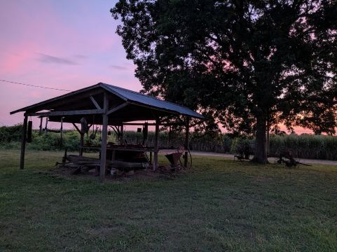 罗伊德霍尔种植园酒店-旅行者