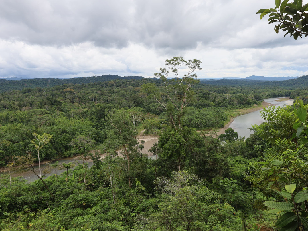 Selva Verde Tours-Misahualli必去景点