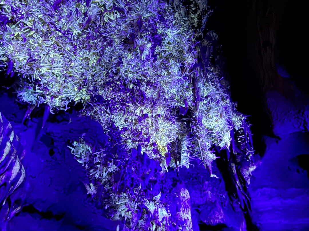 La grotte de Maxange-Le Buisson-de-Cadouin必去景点