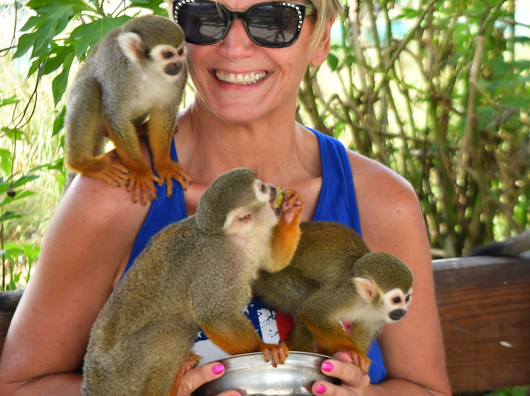 Monkey Home Puerto Plata-普拉塔港必去景点