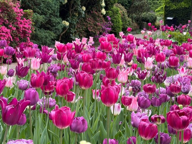 Botanical Garden of the University of Wrocław-弗罗茨瓦夫必去景点