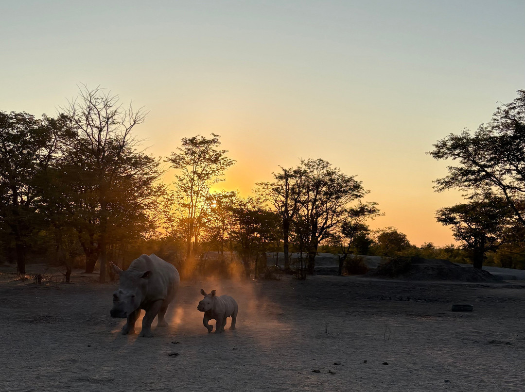 Sukulu Reserve-李文斯顿必去景点
