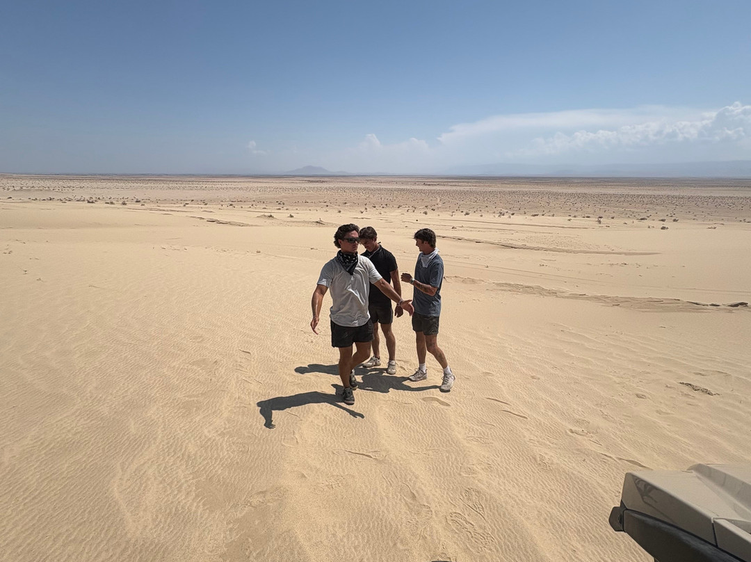 San Diego Dune Tours-Ocotillo必去景点