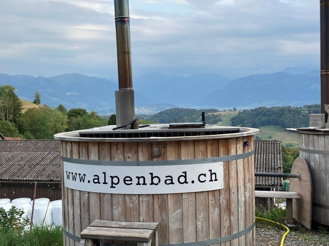 Alpenbad-Hinwil必去景点