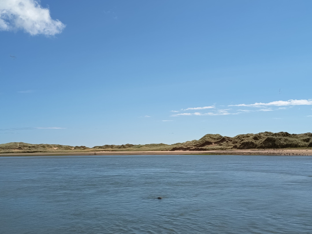 Newburgh Seals Beach-Newburgh必去景点
