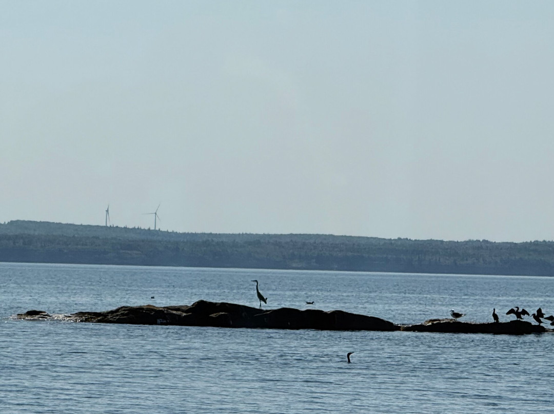 Bird Island Boat Tour-Big Bras d'Or必去景点