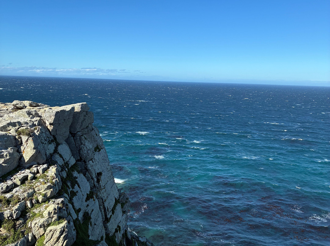 Cape of Good Hope-桌山国家公园必去景点