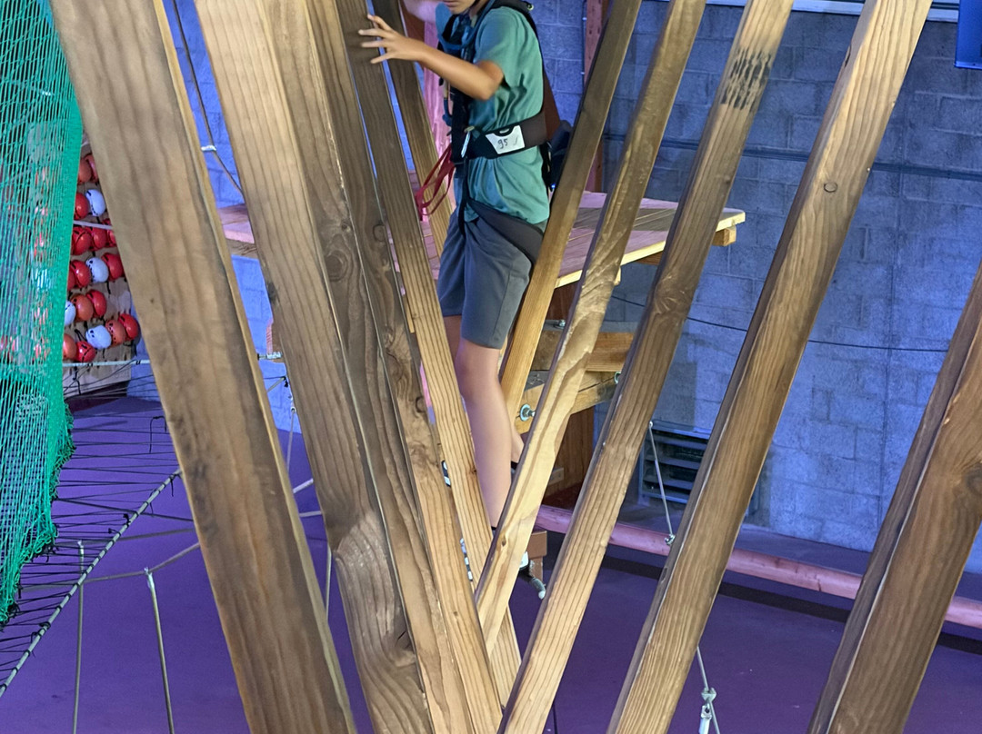 Adventure City Rotterdam-鹿特丹必去景点