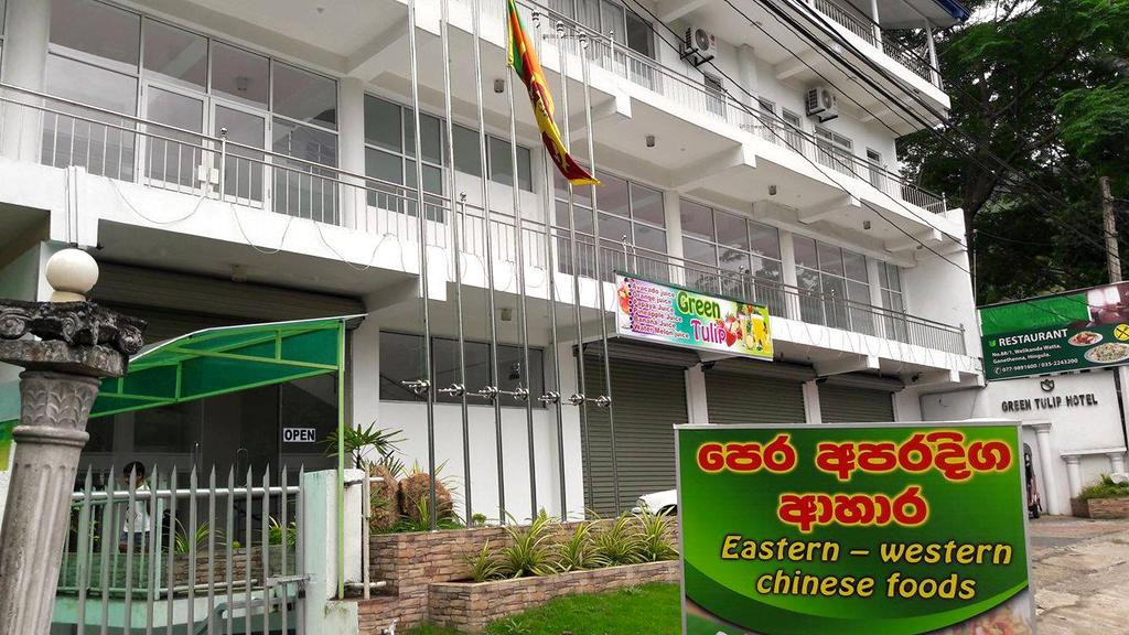 康提绿色郁金香酒店主图