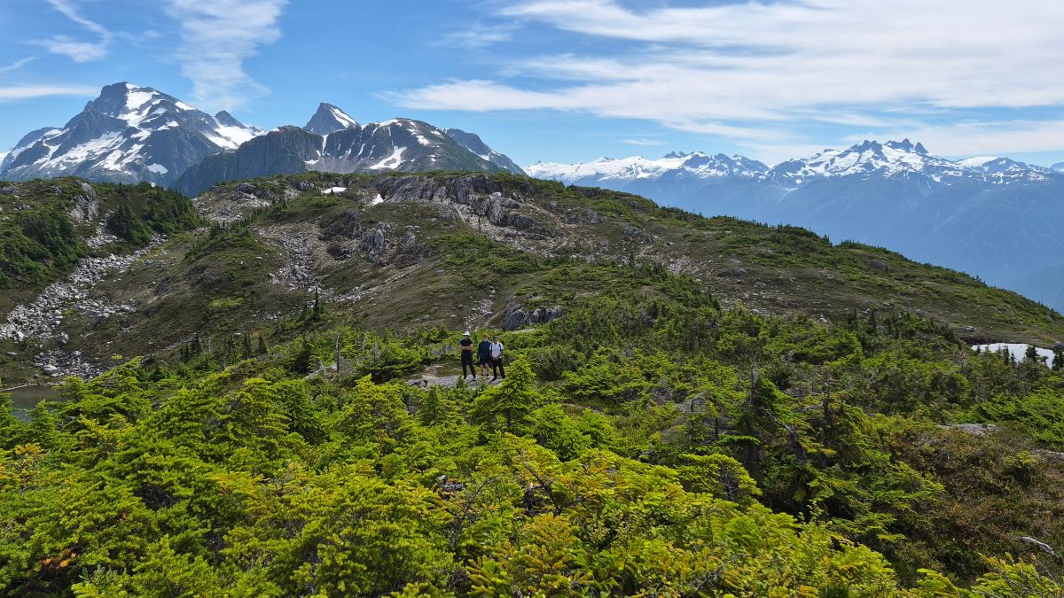 Bella Coola Mountain Lodge-旅行者