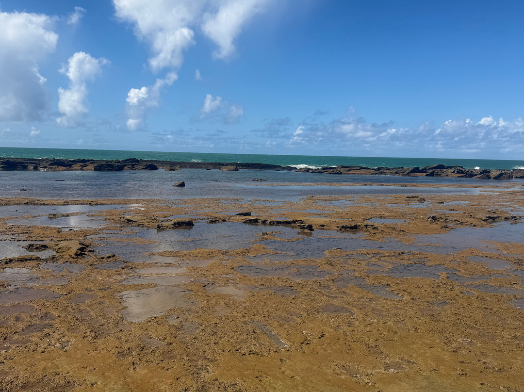 Piscinas Naturais De Pajucara-Maceio必去景点