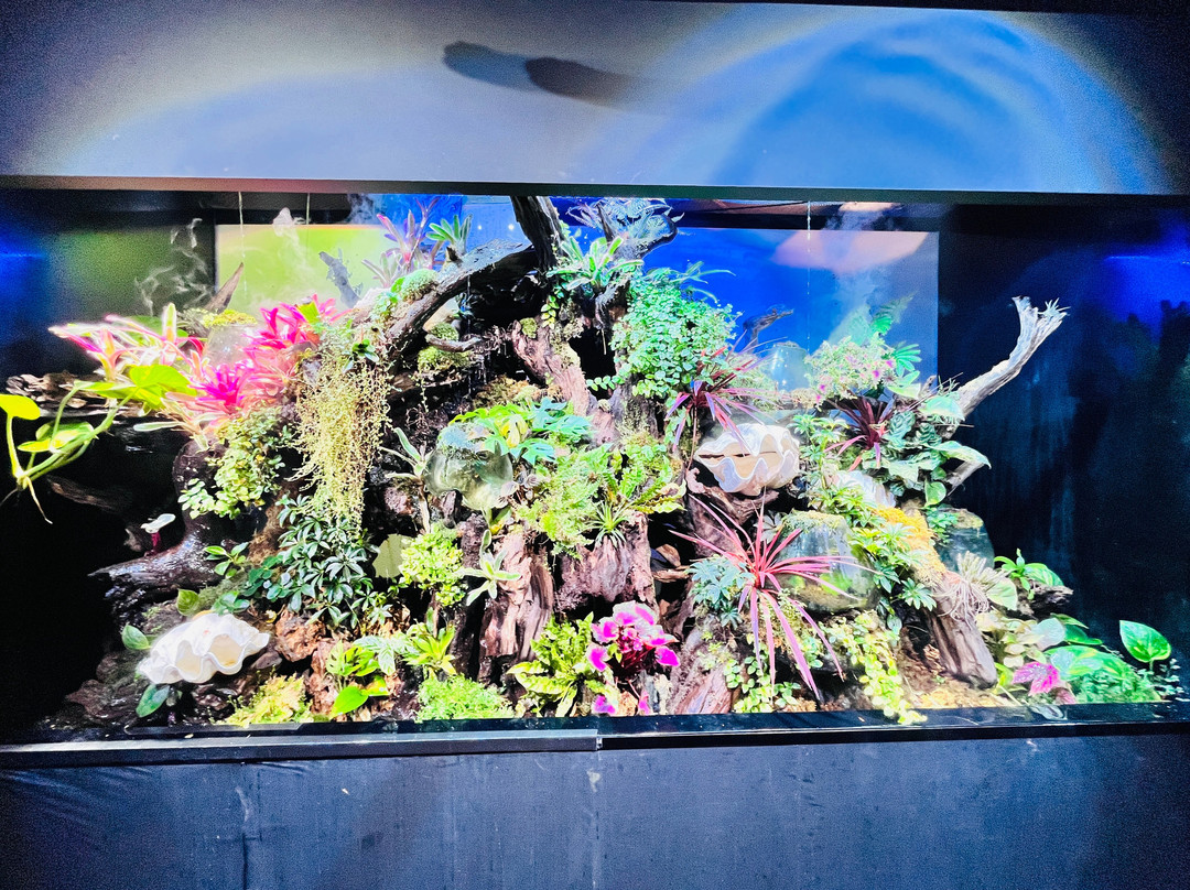 Uws Aquarium Ga Kyo