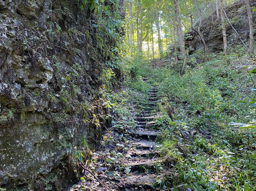 The Highlands Nature Sanctuary-Bainbridge - Ross County必去景点