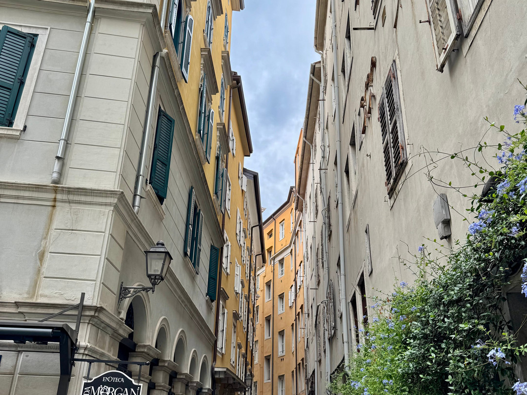 Citta Vecchia (Old City)-的里雅斯特必去景点