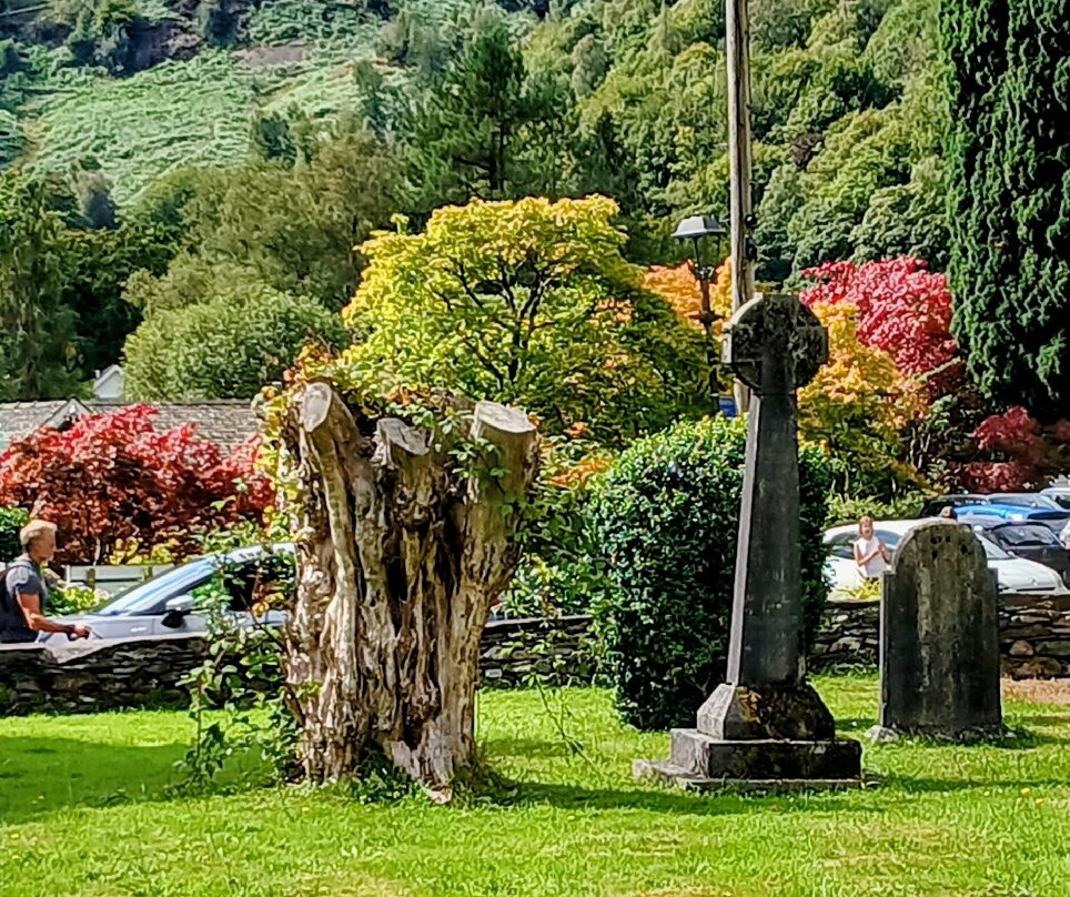 Wordsworth Daffodil Garden-Grasmere必去景点
