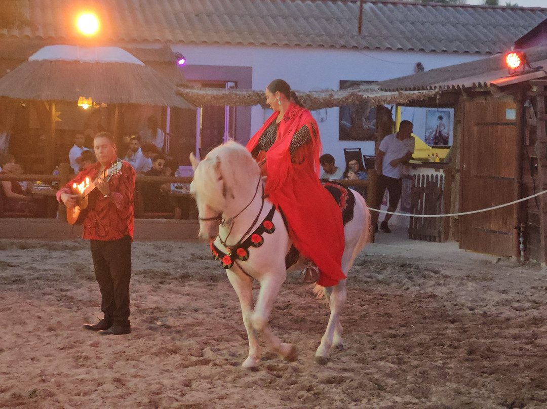 Cabaret Equestre des Sables-勒格罗迪鲁瓦必去景点