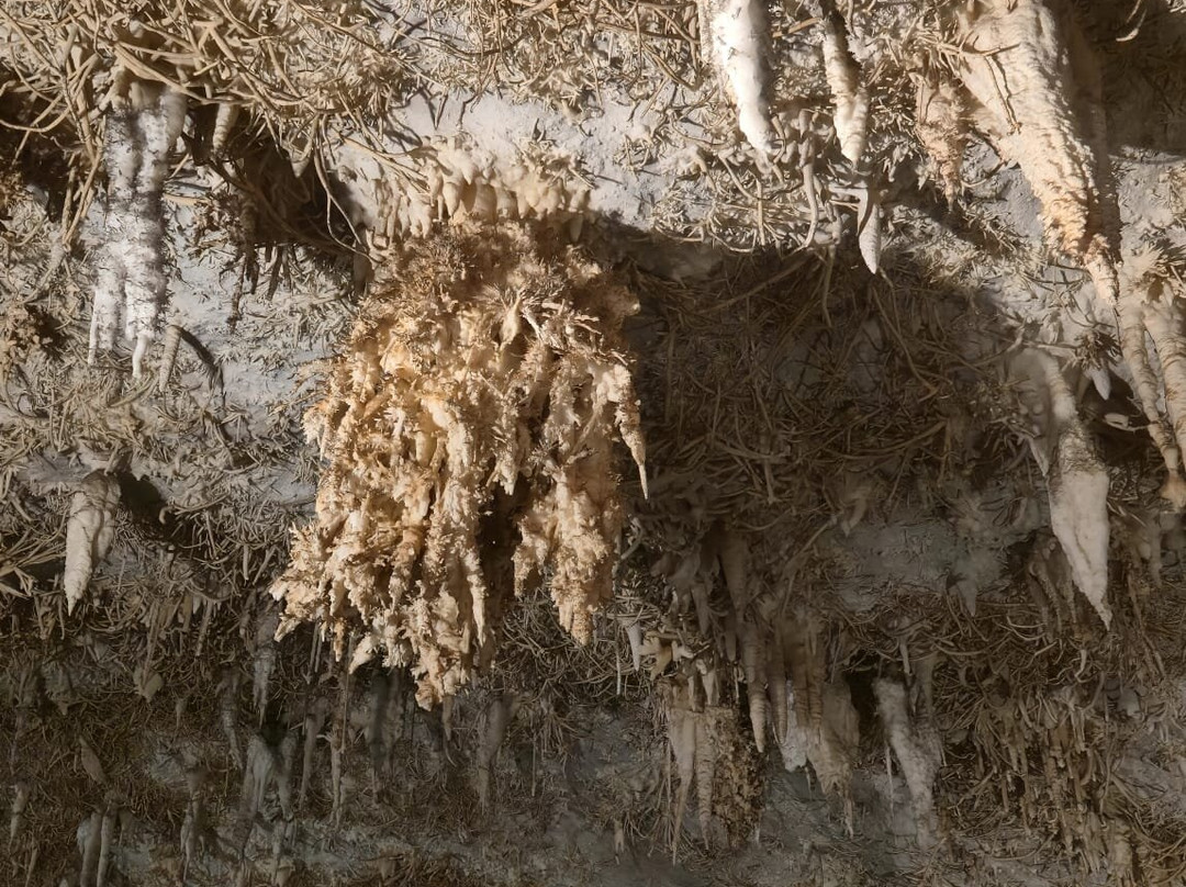 Cueva De Pozalagua-Valle de Carranza必去景点