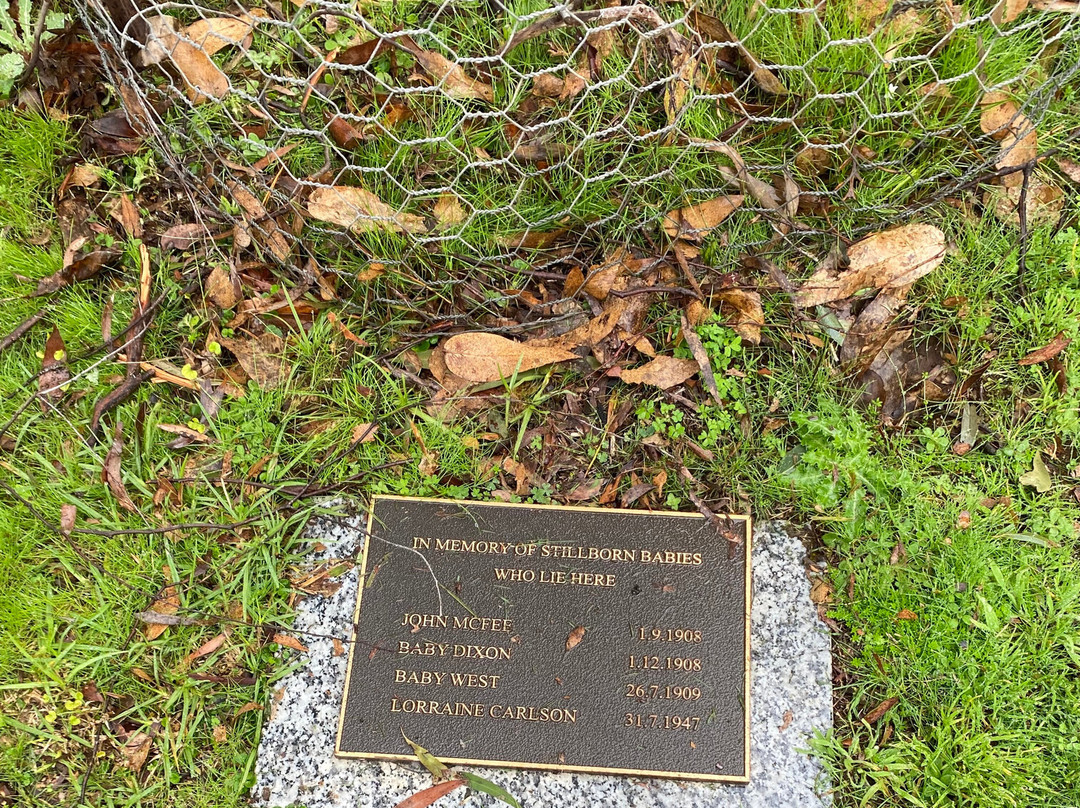 Phillip Island Cemetery-考斯必去景点