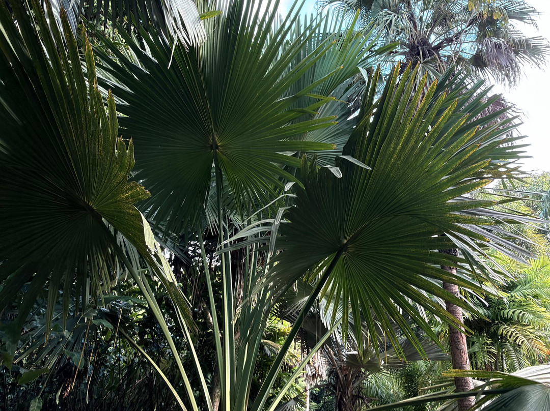 Jardin Botanique de Valombreuse-Petit-Bourg必去景点