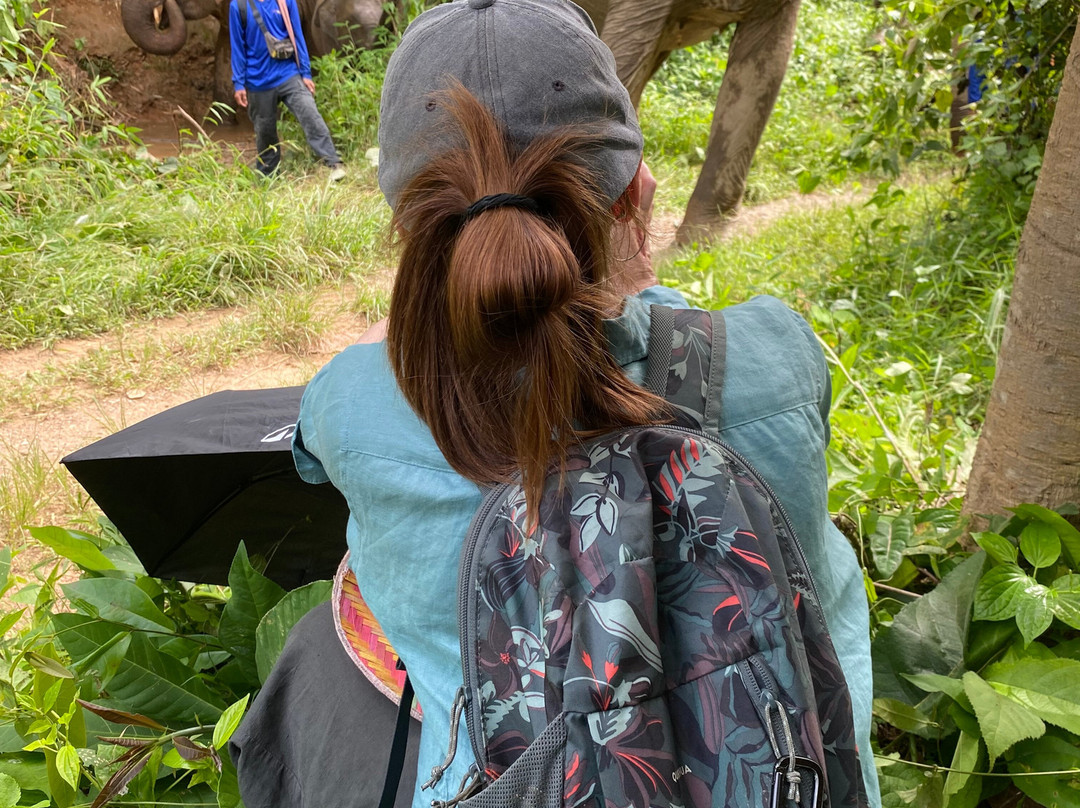 Boon Lott's Elephant Sanctuary-素可泰必去景点