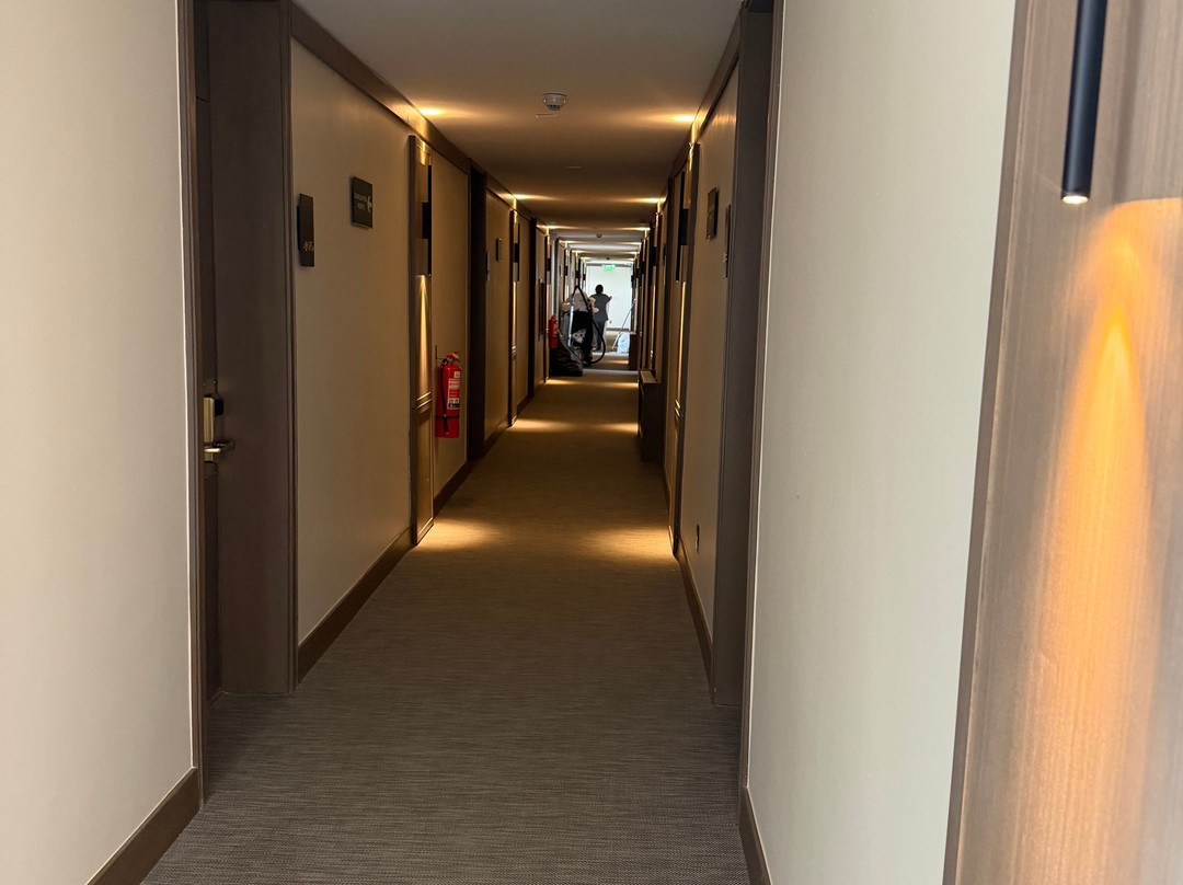 Hotel Valle Nevado主图