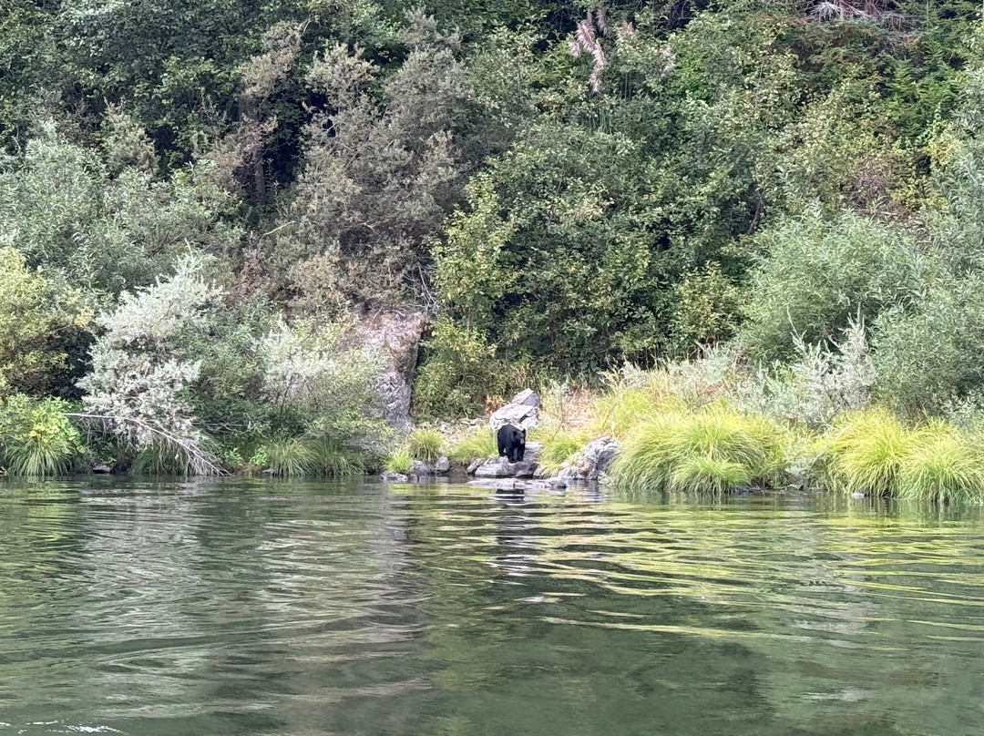 Klamath River Jet Boat Tours-克拉马斯必去景点