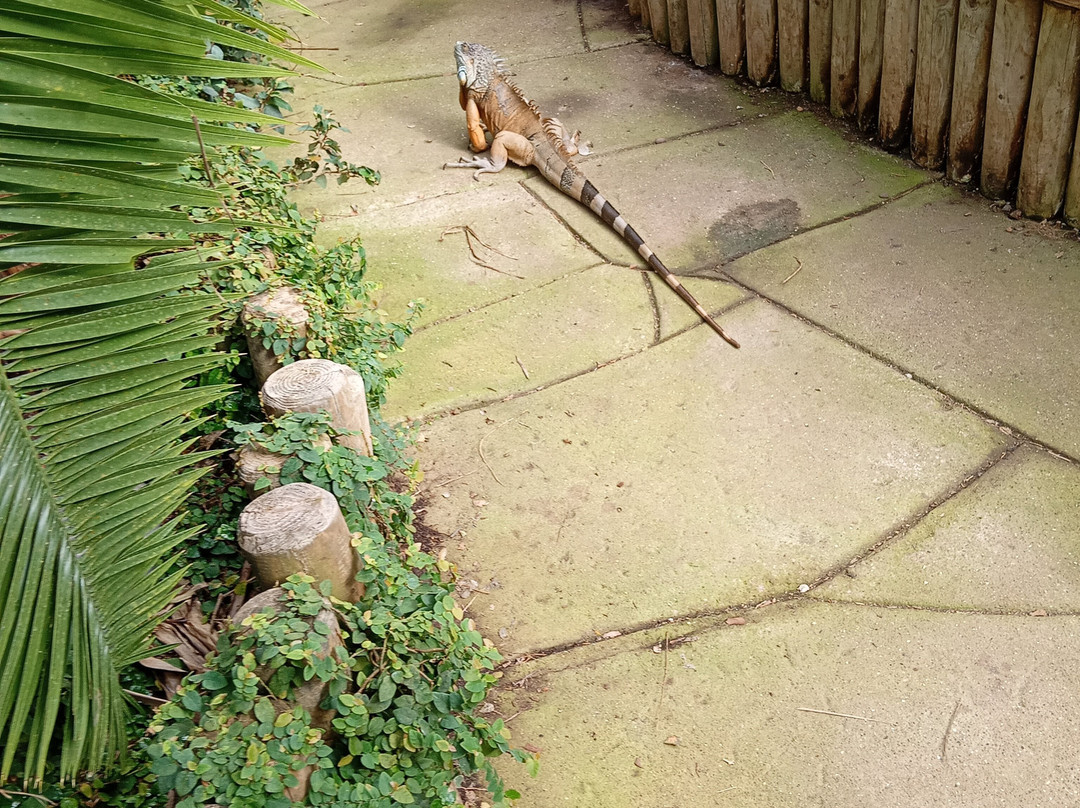 Bugtopia Hornsea Zoo-Hornsea必去景点