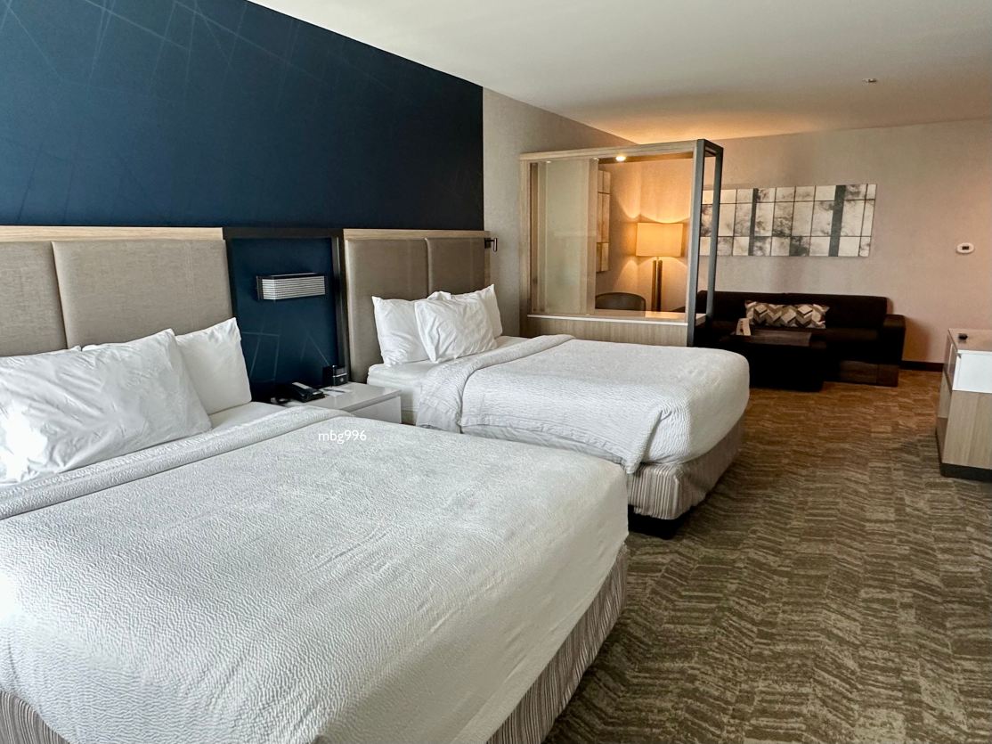 密尔沃基西区/沃瓦托萨SpringHill Suites酒店-客卧