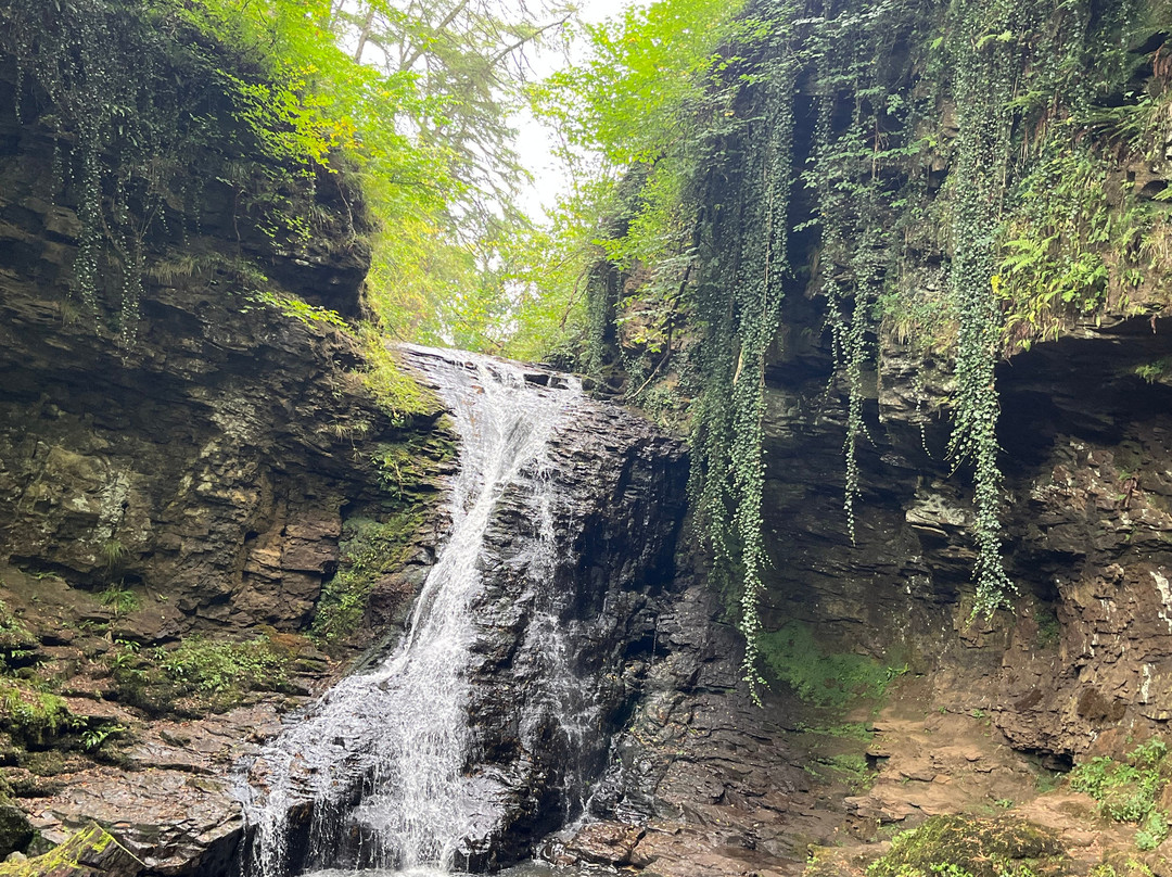 Hareshaw Linn Walk-Bellingham必去景点