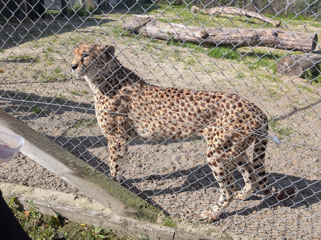 Five Sisters Zoo-West Calder必去景点
