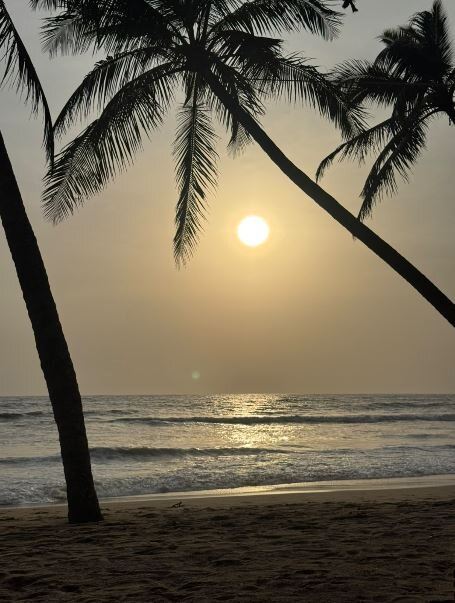 The Nattika Beach Resort-旅行者