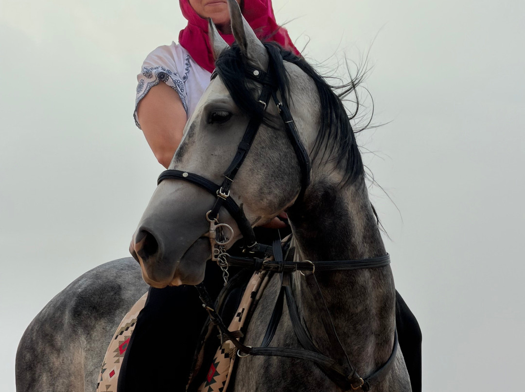 Merzouga Horse Riding-Hassilabied必去景点
