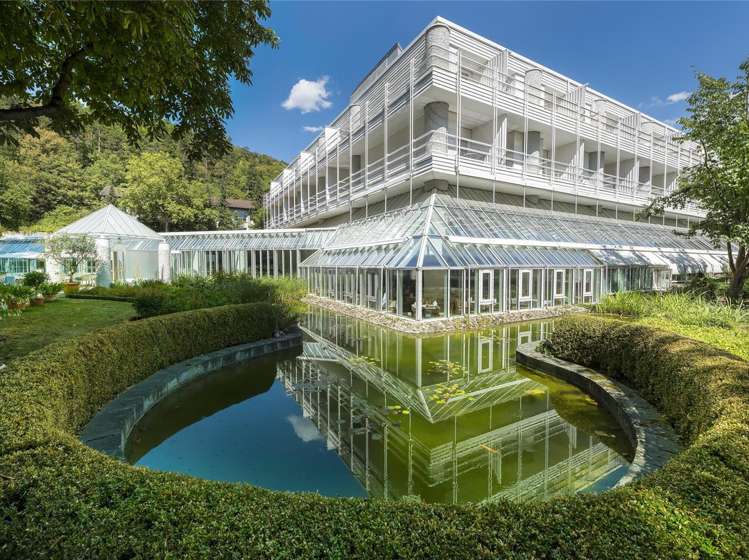 魏克尔斯海姆酒店住宿-Best Western Premier Parkhotel Bad Mergentheim