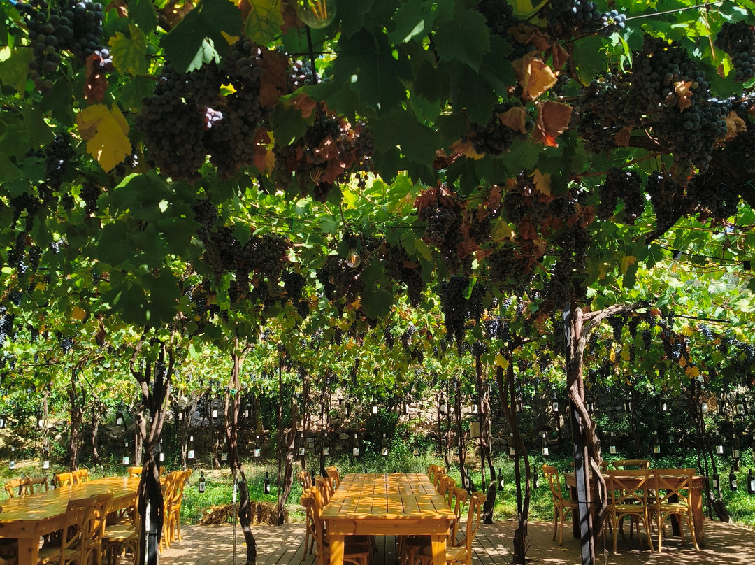 Alpeta Agrotourism & Winery-培拉特必去景点