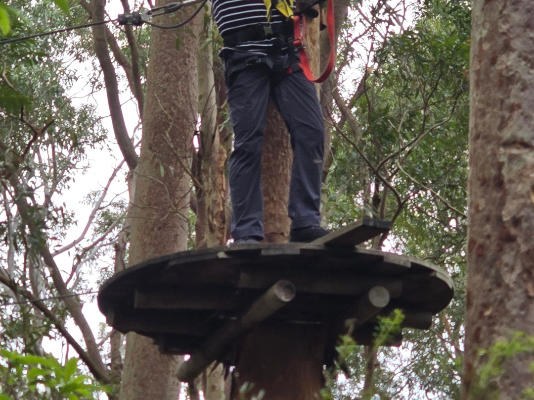 TreeTops Newcastle-纽卡斯尔必去景点