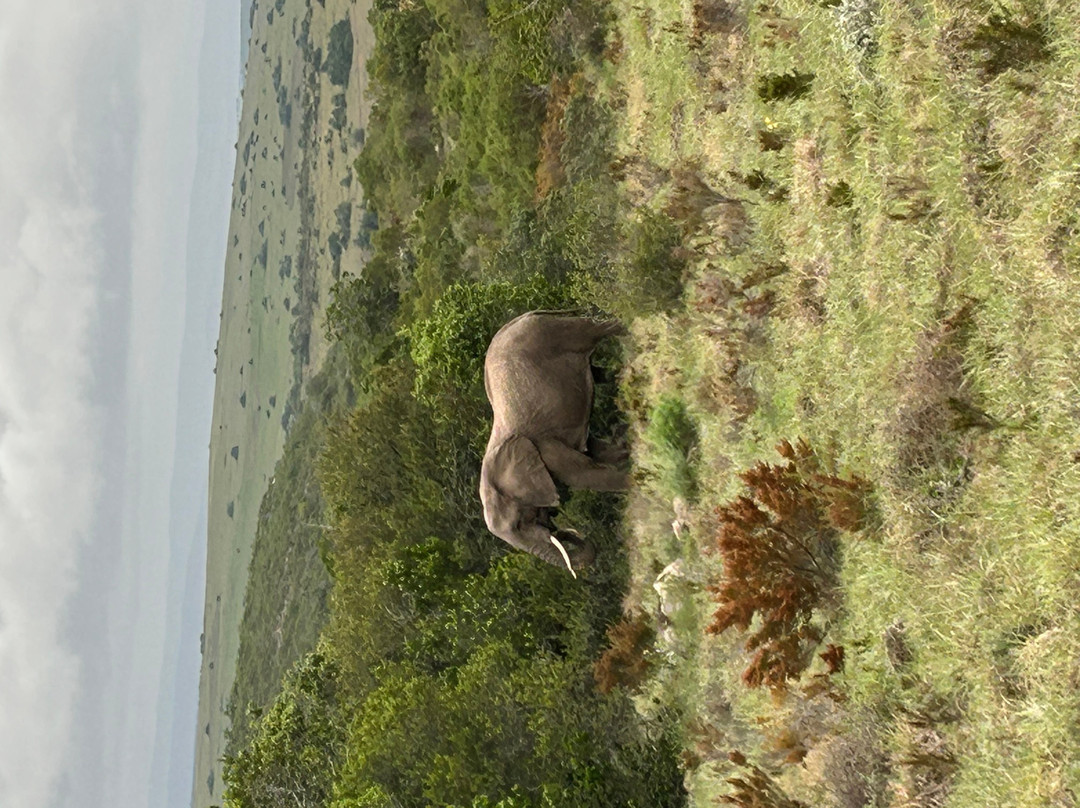Lalibela Wildlife Reserve - Kichaka Lodge主图