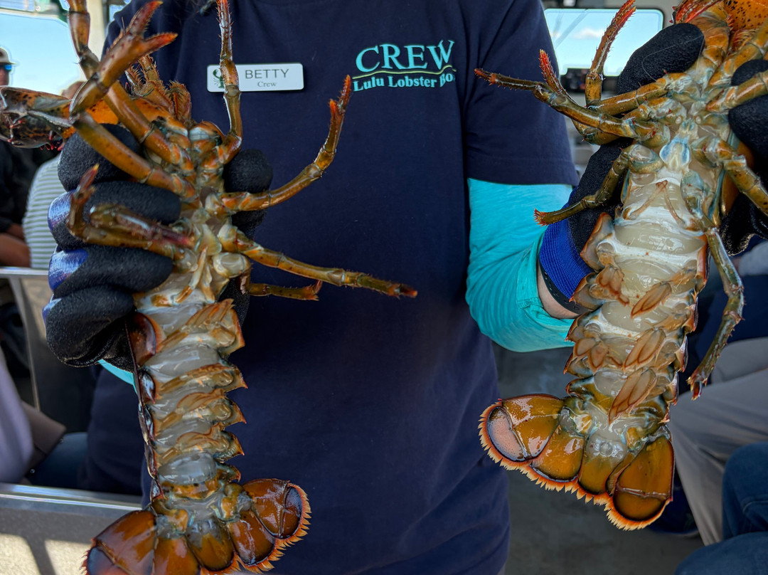 Lulu Lobster Boat-巴港必去景点