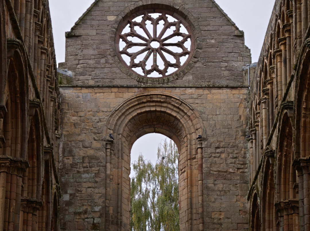 Jedburgh Abbey-Jedburgh必去景点